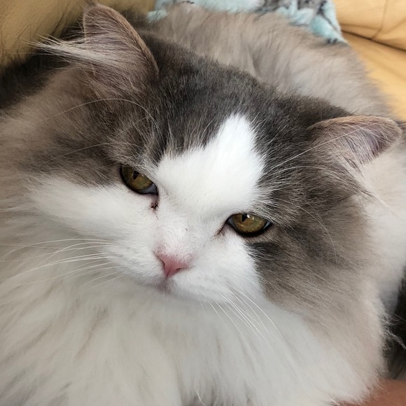 peefsmom